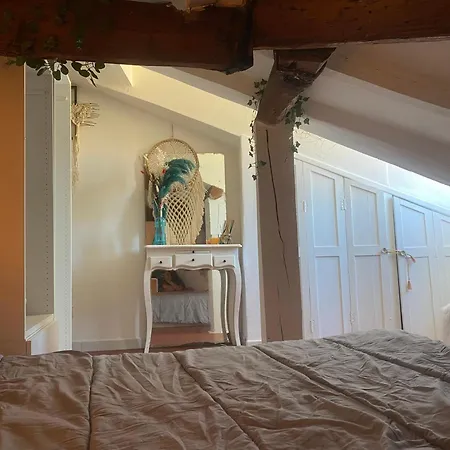 Le Cocon De Garibaldi Apartment