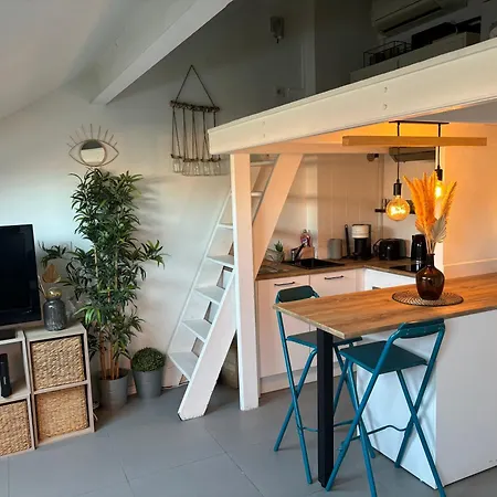 Cosy Rooftop Centre Appartement Nice