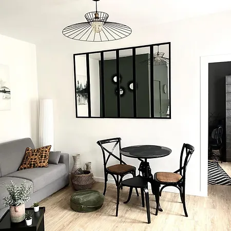 Apartment Quartier Liberation Jolie 2pieces Sur Cours Wifi *