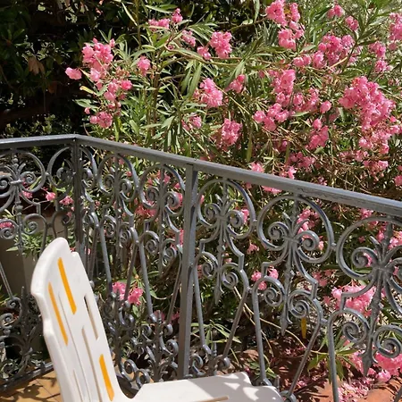 Belle Meuniere * Nice