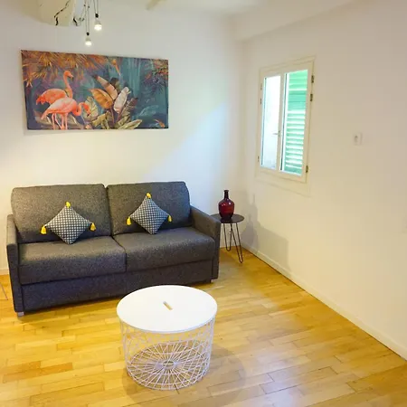 Apartment Vieux - 2 Pieces Et Promenade Des