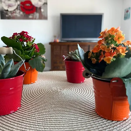 Très Beau 3 Pièces Spacieux Lumineux Et Climatisé