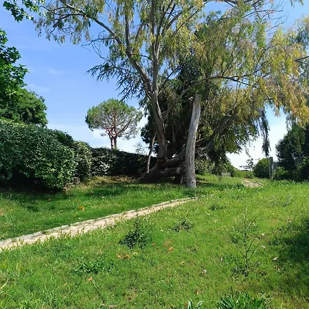 Maison Hauteur Nice