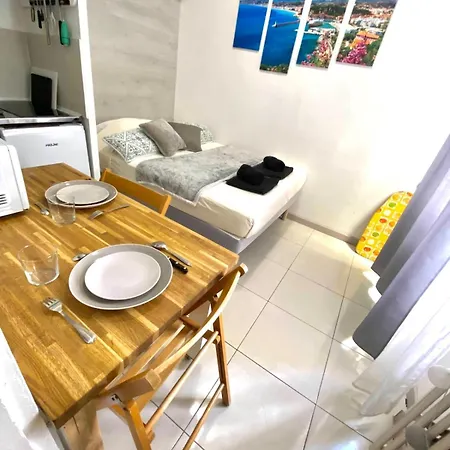 Charmante Petite Studette Au Centre De Climatise Apartment Nice