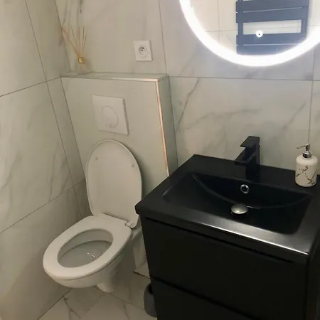 Appartement Le Clio Hyper Centre Proche Promenade *