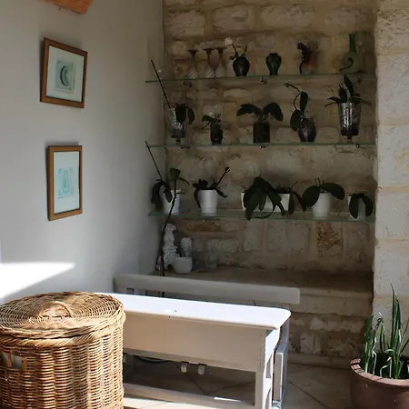 Villa Magnifique Sur Les Collines De Nice, 6 Pièces, Clim, Barbecue, Sauna Et Hammam *