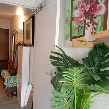 Appartement Meublé 265