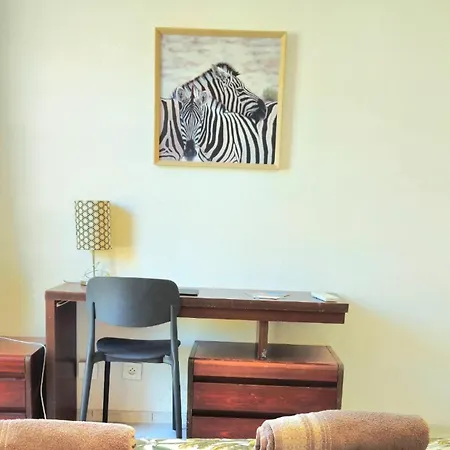 Appartement Spacieux, Lumineux Et Climatisé, Proche Tram V