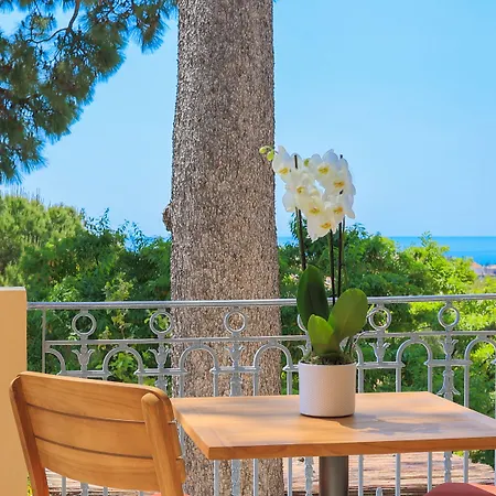 Petit Palais Hotel Nice