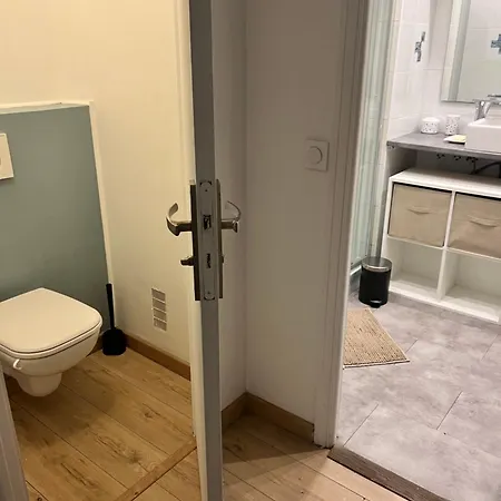 Bel Spacieux Avec Joli Balcon Arboré, Calme, Bien Situé, Centre Appartement