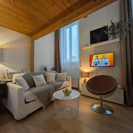 Appartement Palais Des Arts *
