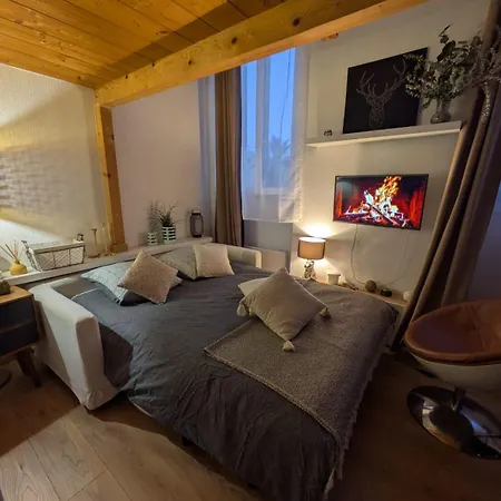 Appartement Palais Des Arts
