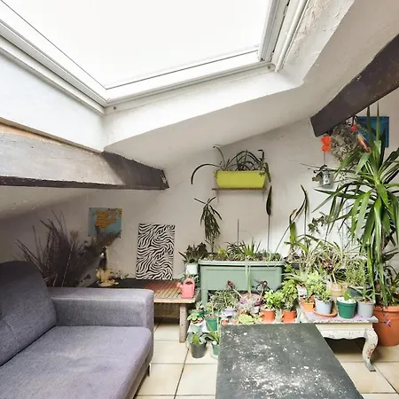 Apartment Charming 1br Flat At Center *