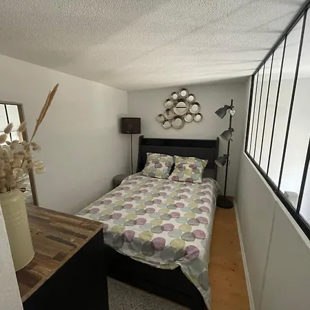 Palais Des Arts Appartement Nice
