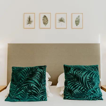 Hotel Palm Boutique Nice