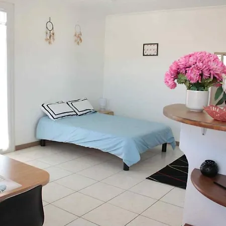 Appartement Le Cocon Niçois Cozy Et Lumineux Avec Parking