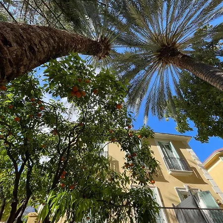 Appartement Under The Citrus Trees *