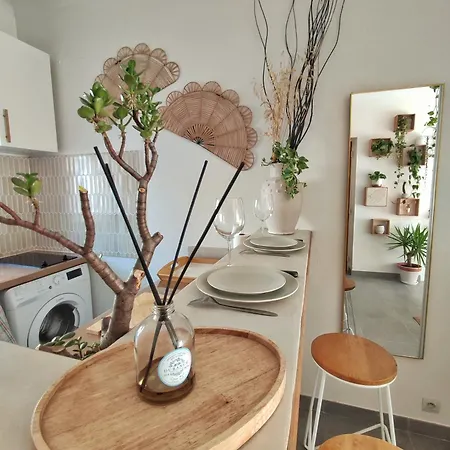 Appartement Jungle Bohème - à 3 Minutes De La Promenade Des à Pieds
