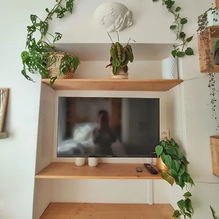 Jungle Bohème - à 3 Minutes De La Promenade Des à Pieds Appartement