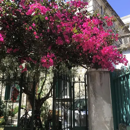 Confort Avec Terrasse Appartement Nice