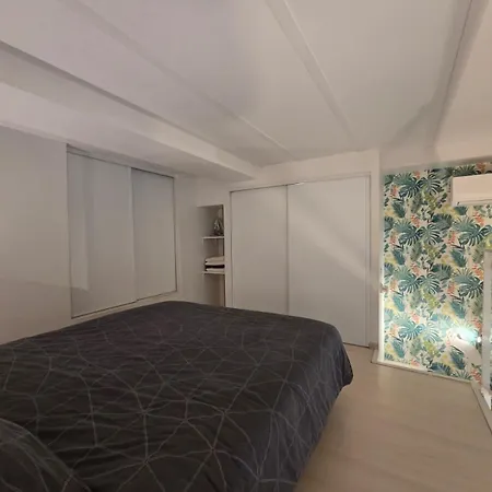 Carre D'or Star Loft Apartment Nice