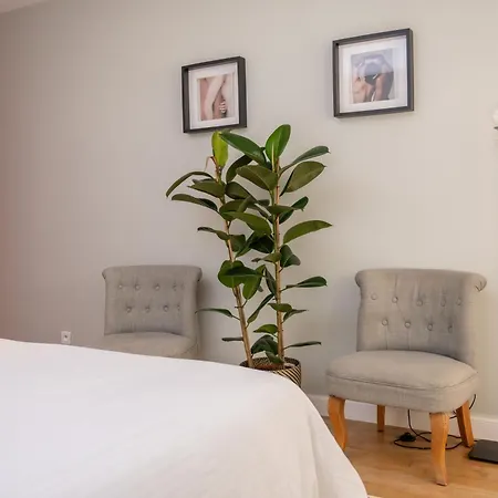 Apartment Large Magnificent Terrace Nice