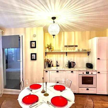 Large Magnificent Terrace Apartment Nice