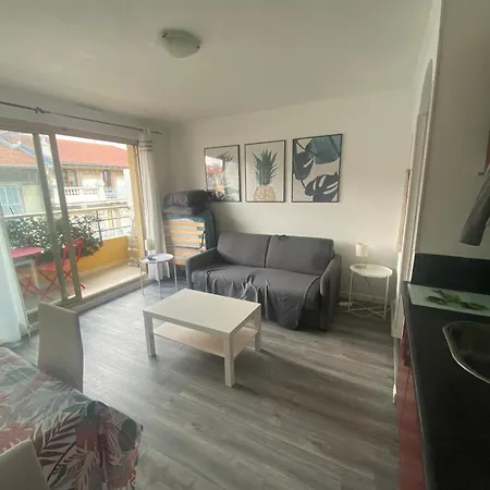 Port Apartment *