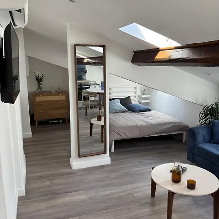 Apartment Cocon Lumineux Sous Les Toits De *