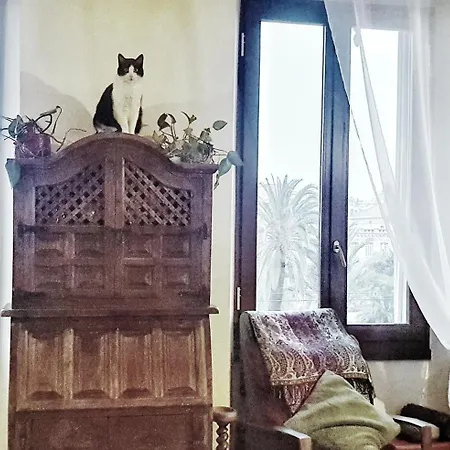 Appartement Shared With Kitten Nice