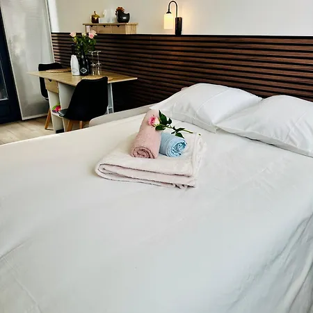 Romantique Avec Jacuzzi Prive - Apercu - Terrasse - Parking Gratuit Apartment *