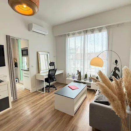 Apartment Beautiful Just A Stone's Throw From The Nice