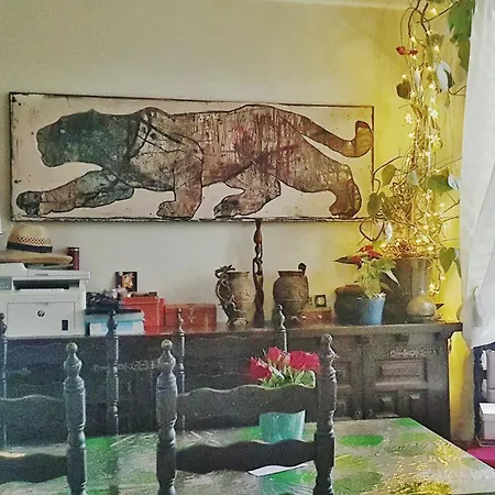 Shared With Kitten Appartement Nice