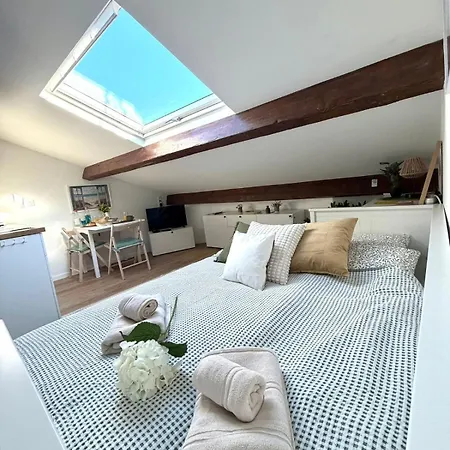 Apartment Le Petit Nid Sous Le Toit Nice