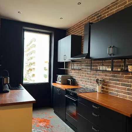 Appartement Renovated 2-room Sleeps 4 Tram And Shops Nearby Nice
