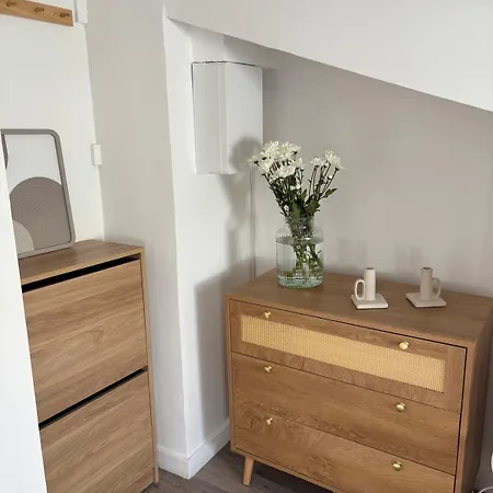 Cocon Lumineux Sous Les Toits De Apartment Nice
