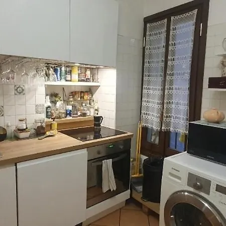 Appartement Shared With Kitten