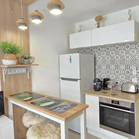 Coeur Liberation Apartment Nice