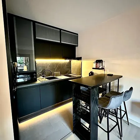 Apartment Superbe Climatise Avec Piscine, Terrasse Et Parking Prive - Proche Promenade Des Nice