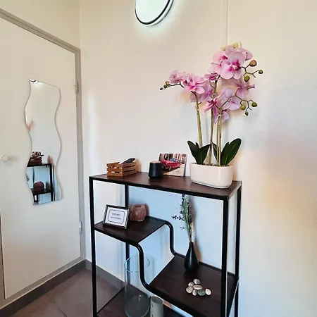 Renove Et Meuble Le Coeur De A Vos Pieds Apartment *