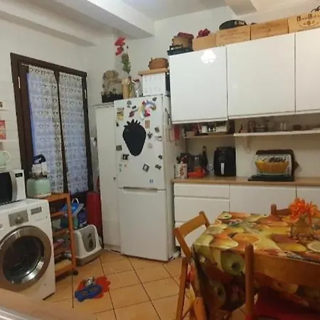 Appartement Shared With Kitten