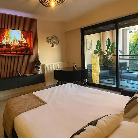 Apartment Superbe Climatise Avec Piscine, Terrasse Et Parking Prive - Proche Promenade Des