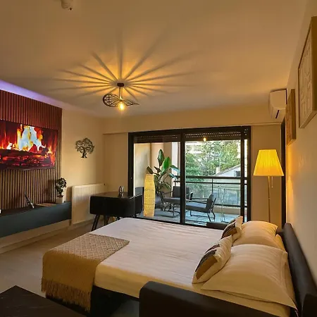 Superbe Climatise Avec Piscine, Terrasse Et Parking Prive - Proche Promenade Des Apartment