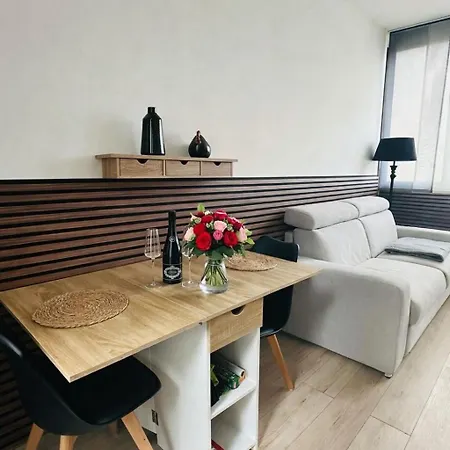 Apartment Romantique Avec Jacuzzi Prive - Apercu - Terrasse - Parking Gratuit