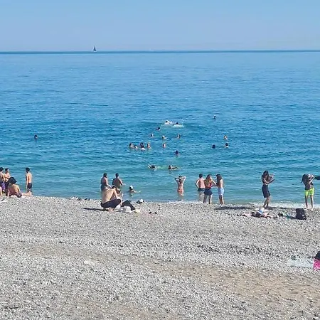 Le Miami - *