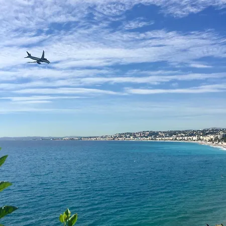 Le Miami - Nice