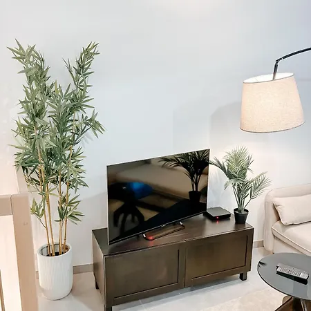 Apartment Aya - Renovated Air-conditioned Duplex With Garden Nice