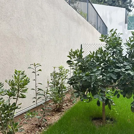 Aya - Renovated Air-conditioned Duplex With Garden Apartment Nice