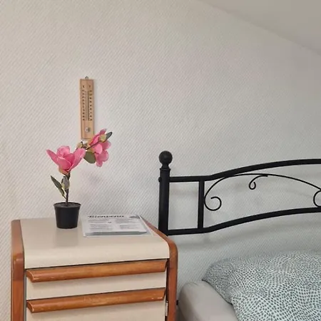 Jolie Privée Centre-ville Auberge de jeunesse *