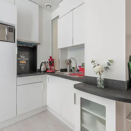 Apartment Musiciens Joli Duplex 2 Garage Privatif Et Terrasse *
